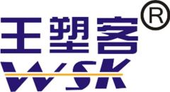 WANGSU (GUANGZHOU) TECHNOLOGY CO., LTD