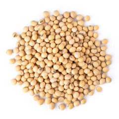 Premium Soybeans For Food Processing Animal Feed And Agricultural Use With Reliable Quality And Consistent Supply – product photo 5, product detail gallery