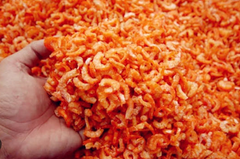 Premium Dried Shrimp - Image 2