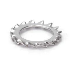 304 Stainless Steel Washers DIN6798 a External Toothed Gasket Serrated Lock Washer - Bolnut Fastener Co., Ltd