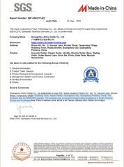 SGS certificate from GUANGZHOU ARTINY GUITAR CO., LTD