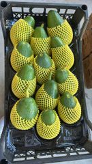 Hass Avocado - Image 1