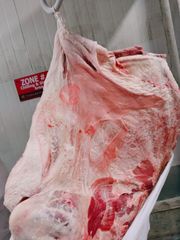 Fresh beef Carcasses, Fresh Mutton Carcasses, Fresh Lamb, Fresh Camel meat, Frozen Meat product, Vegetable - Image 5