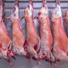 Best Price Hot Selling Fresh and Frozen Goat Meat Whole Goat and All Cuts Bulk Export Supply for Food Industry - Image 2