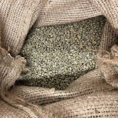 Arabica Green Coffee Bean - Origin Java, Indonesia, PT Harvest Nusa Trading, Lets Connect - Image 5