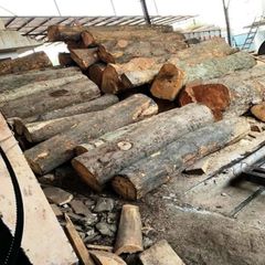 Spruce Wood (Picea abies) Origin South Africa Grade Export / Industrial Grade Max Moisture ≤ 12% (kiln-dried) Color Pale Yellow To Creamy White - Image 2