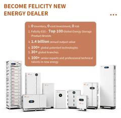Felicityess 1.6kwh Home Use LiFePO4 Li-ion Battery with Micro Inverter Solar Power Balcony Energy Storage System - Image 6