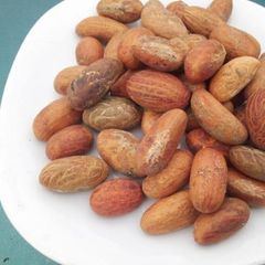 Top Fresh Organic Bitter kola Nuts Available Drying Process raw Max. Moisture (%) 5% Crude Protein 8.06%* Moisture Content 9% Max - Image 2