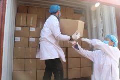 New Crop Harvest Walnut/Walnut in Shell / Walnut Kernel Origin China Area Xinjiang Processing Raw HS Code 0802320000 Trademark SHENG MENG - Image 6