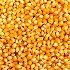 Yellow Maize, Origin Myanmar – product photo 1, product detail gallery