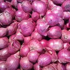 Fresh Red Onion - Image 2