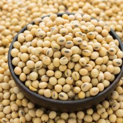 soyabean - Image 1