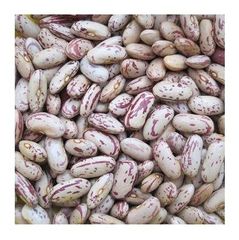 Cheap Price Bulk Stock Light Speckled Sugar Beans | Pinto Beans for Sale in Bulk With Fast Delivery – product photo 4, product detail gallery
