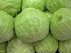 Green Cabbage (Indian Origin) - Image 1