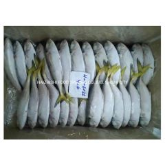 New Stock Oman Origin Frozen Yellow Tail Scad Fish Style Whole Processing BQF Trademark HEALSEA Origin Fujian, China Storage Temperature - Image 5