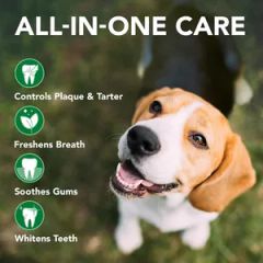 OEM ODM Toothpaste for Cats & Dogs - Image 6