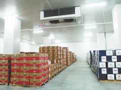 Fruit Fresh Cold Room Cold Storage - Image 5