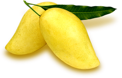 Fresh Mango "Nam Dok Mai" Yellow Mango High Quality From Thailand - Image 2
