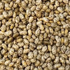 Pinto beans for sell Grade A Flavor Earthy Texture Creamy Origin Germany Brand Name PINTO BEANS Place of Origin Germany Color Uniform Light Brown When Cooked - Image 1