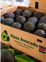 Hass Avocado - Image 3