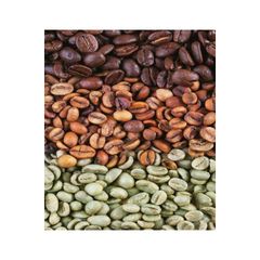 New Arrival Robusta Coffee green fresh beans for original Aroma Flavor and Taste Buy Now From India - Image 1