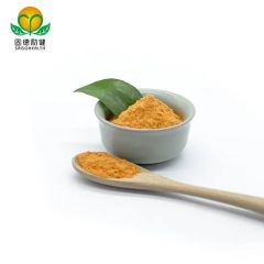 High Quality Super Food Hawthorn Juice Powder - Image 3