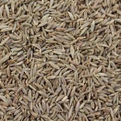 Cumin Seeds Si - Image 3