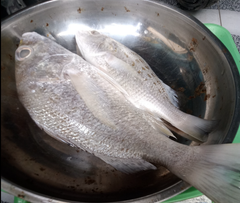 FROZEN BARRAMUNDI - HIGH QUALITY - Image 2