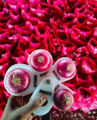 Fresh Onion – product photo 3, product detail gallery