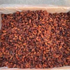 Wholesale 2025 Crop Dryed Fruit Raisin - Image 5