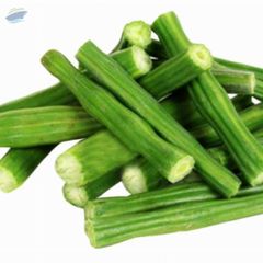 Drumsticks Color Green Length 255mm Above Storage Temperature 70 To 80 C Optimum Relative Humidity 90% To - Image 1