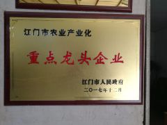 the city primary leading company certificate from TAISHAN EVERGREEN LUCKY BAMBOO ART CO., LTD