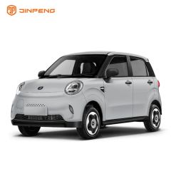 Ultimate Jinpeng Mini RC Car: Perfect Gift for Kids and Adults - Jiangsu Jinpeng Group Co., Ltd.