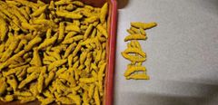 TURMERIC FINGER IPM - Image 5