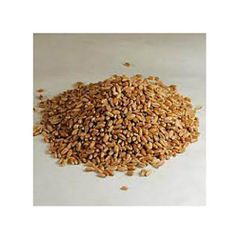 Wheat grains offered for bulk purchase and cost-effective sourcing for distributors – product photo 2, product detail gallery