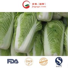 High Quality Chinese Fresh Cabbage Kind Fresh Size 1.5kg Color Green Origin China Trademark GOGO HS Code 0706100001 Place of Origin - Image 3