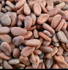 Cocoa beans - Image 1