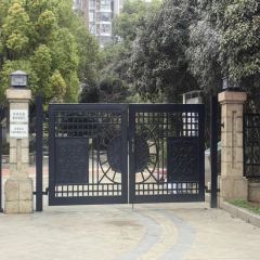 Store Front Sliding Iron Main Cheap Solid Iron Doors with Automatic Opening Pattern - Image 1