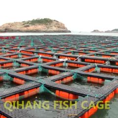 Carp Fish Farming, Catfish Farming Equipment for Sale - Image 3