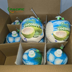 Fresh Young Coconut FDA Certificate, high BRIX – product photo 5, product detail gallery