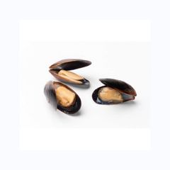 Seafood Importers Mussels In Shellfish Import Export Frozen Seafood High Quality Frozen Half Shell Mussel Frozen Shellfish In Se - Image 1