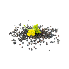 Rapeseed offered at discount price for bulk oil extraction and feed use - Image 2