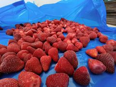 IQF Whole Strawberry – Grade A – Uncalibrated - Image 1