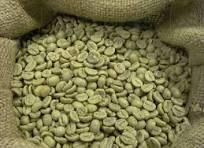 Arabica Gayo, Aceh, Indonesia – product photo 1, product detail gallery