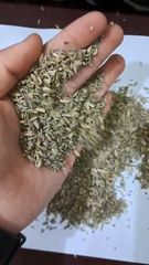 fennel seeds – product photo 1, product detail gallery