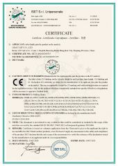 CE-Shifting Skates certificate of Giant Lift Co., Ltd. – certificate photo, supplier certificates section
