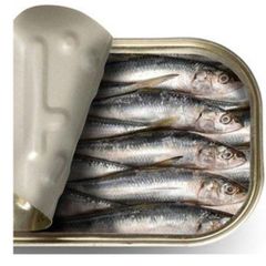 Sardines Canned Sardines Fish. - Image 2