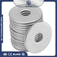 Factory Hot Sale High Quality Galvanized Steel Flat Washers Stainless Steel Washers - Tianjin Longshi Fasteners Co., Ltd.