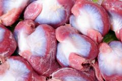 Frozen Halal Chicken Gizzards – Cleaned, Bulk Packed, Grade A, Halal Certified - Image 3
