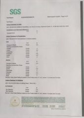 SGS certificate from Shanghai Sky Industrial Products Co., Ltd